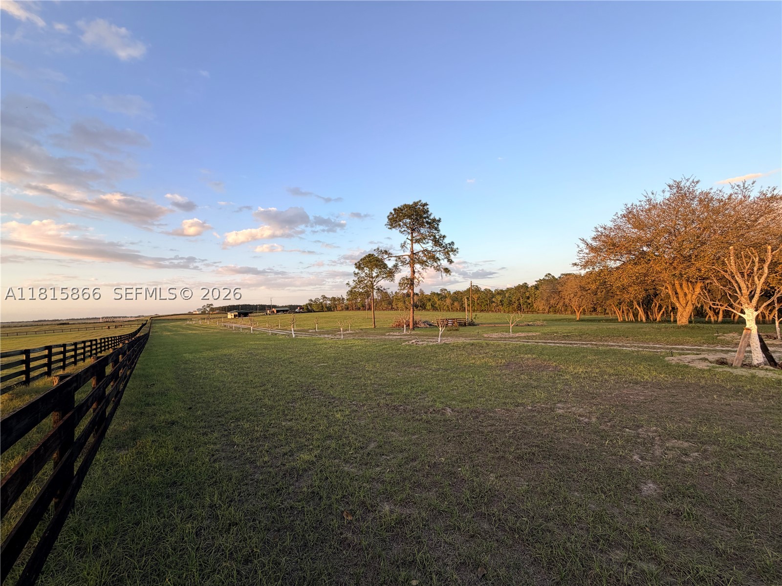 Williston Mile - Residential