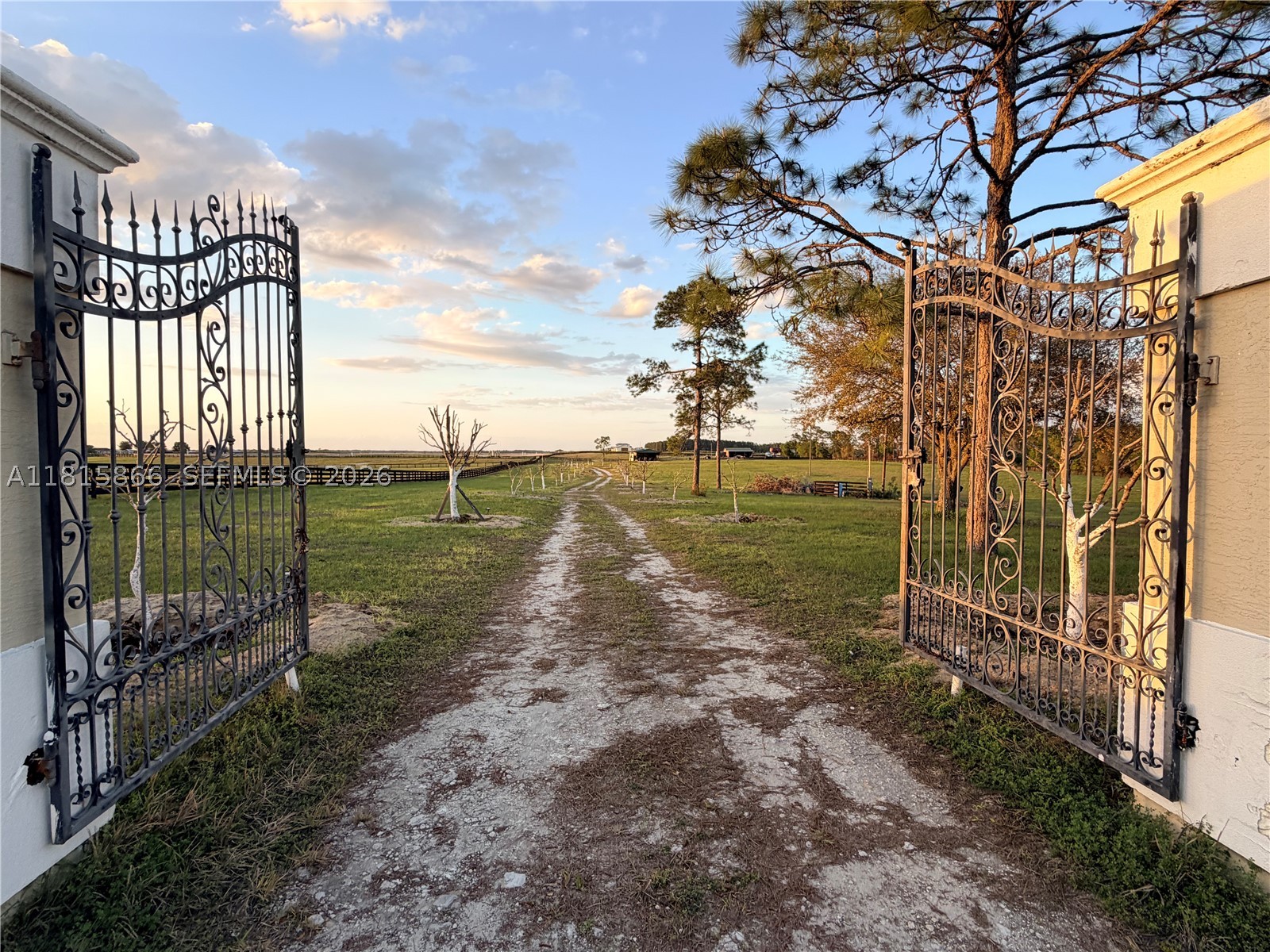 Williston Mile - Residential