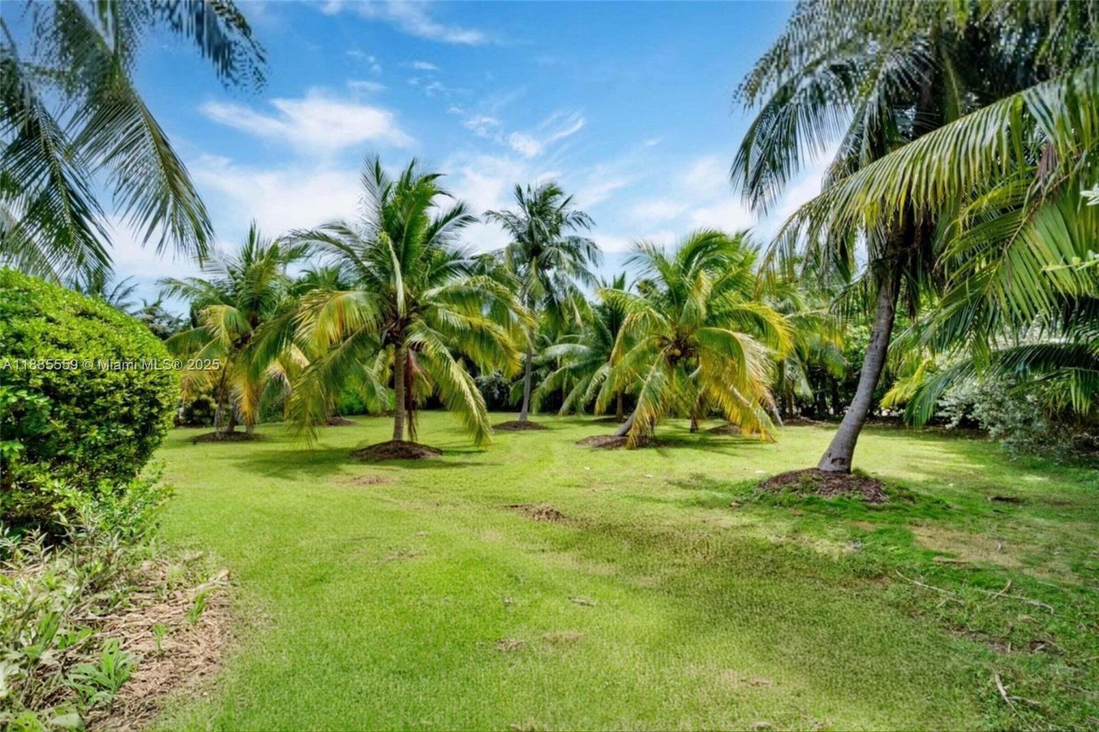 Mat Ocean View - Residential