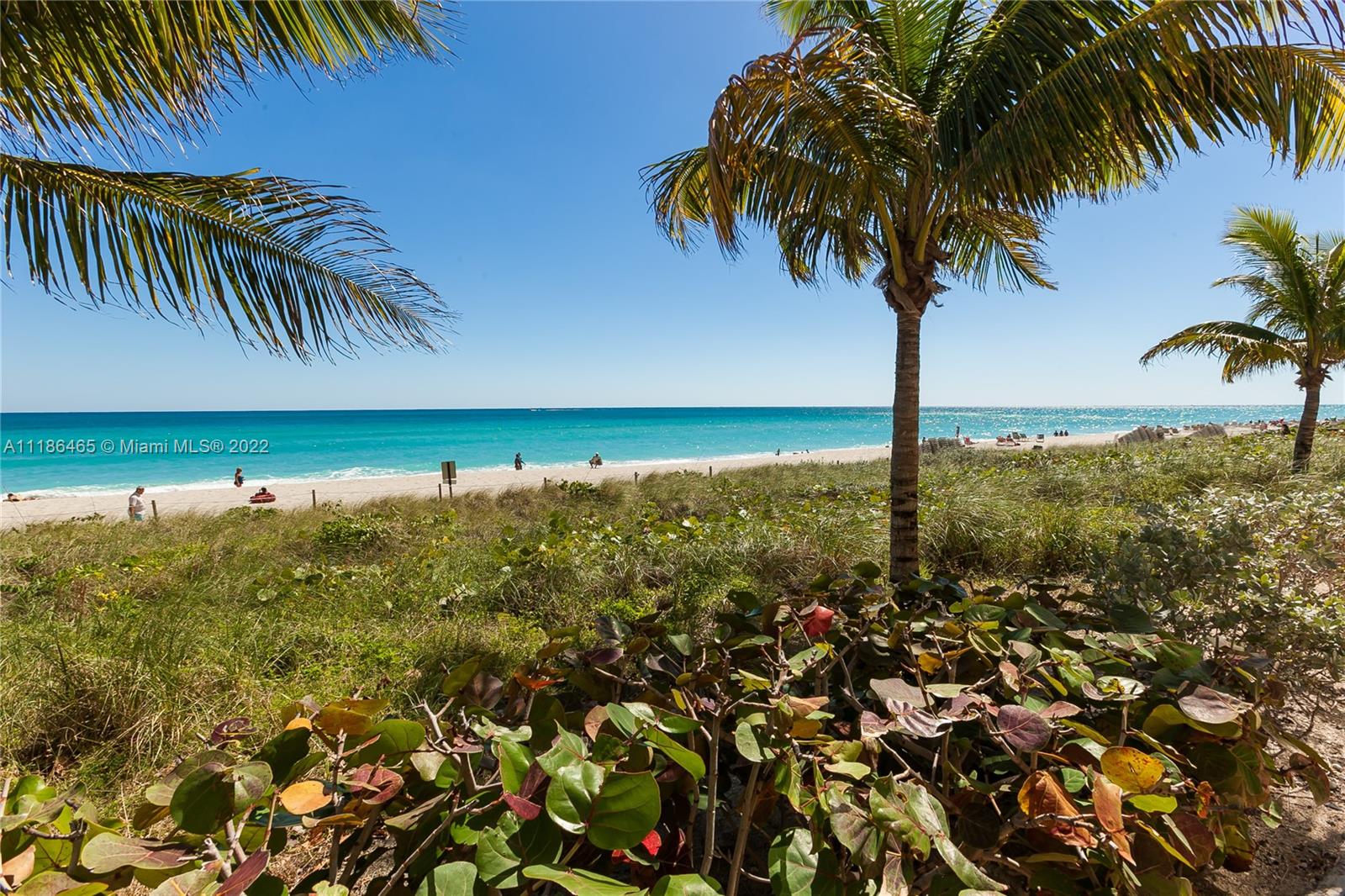 Beach Club Two - Residential Lease