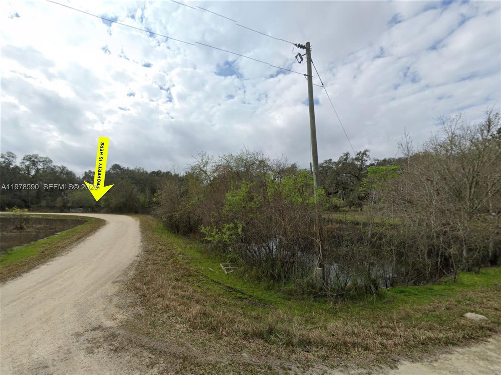 Rare opportunity to own a 24,061 sq ft (approx. 0.55 acre) residential lot on Coley St in Webster, FL, located in growing Hernando County. This spacious parcel provides plenty of room to build your dream home while enjoying privacy and a peaceful setting. Electric power is available on the nearby street, and the property will require well and septic, making it ideal for those seeking a quiet rural lifestyle with room to spread out.

The property is located on a street where other residential homes and lots are already established, offering a neighborhood feel while still maintaining the charm and space of country living. Webster is a steadily growing area just minutes from Brooksville, providing convenient access to shopping, dining, and everyday amenities while still enjoying the tranquility of Central Florida’s natural surroundings.

Listed at $10,000, this is a great opportunity for investors, builders, or anyone looking to secure land in an up-and-coming area of Hernando County. Don’t miss the chance to own a large homesite in a developing area with strong future potential.