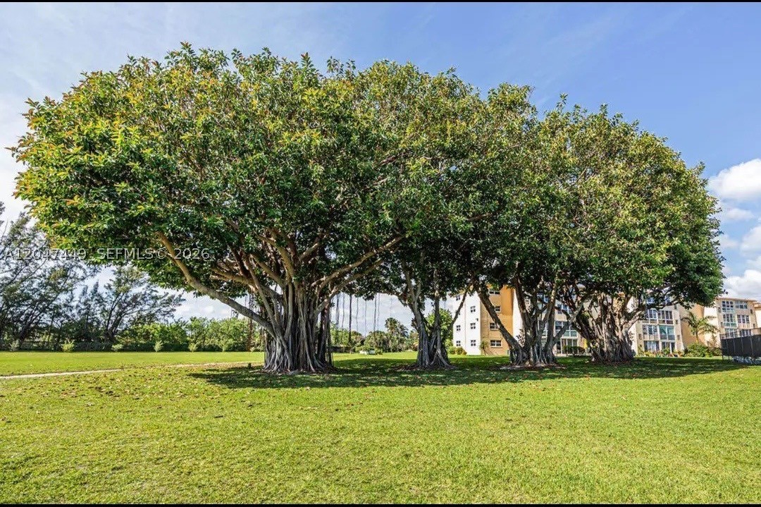 VILLAGE ROYALE GREENWOOD - Residential