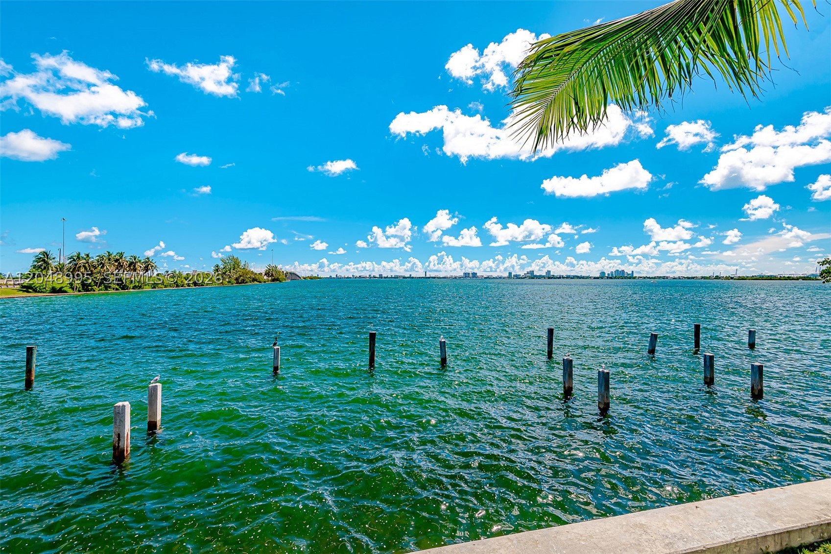 CHARTER CLUB CONDO - Residential