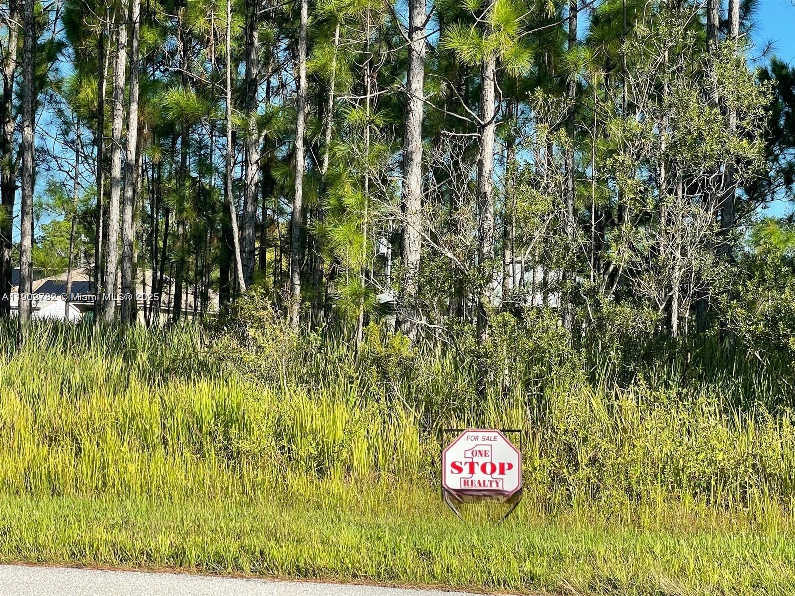 Vacant Land, Excellent Place to Build Your Dream Home on Pave Road Many Other Properties,
Already Being Build in the Area, Close to the Golf Course, Right On The Main Street of 
Sun N Lakes Blvd, The Community Offers 2 18-Hole Championship Golf Courses, Restaurant,
Clubhouse, Gym, Playground, Community Pool, Splash Pad, Community Center, Fitness Center, 
Pickle Ball, and Tennis. Sebring is Centrally Located 1.5 Hours From Disney,
Sun 'N Lake Elementary School PK-05 618 Enrollment 1.7 mile Hill-Gustat Middle School 06-10 705
Avon Park High School 09-12 928