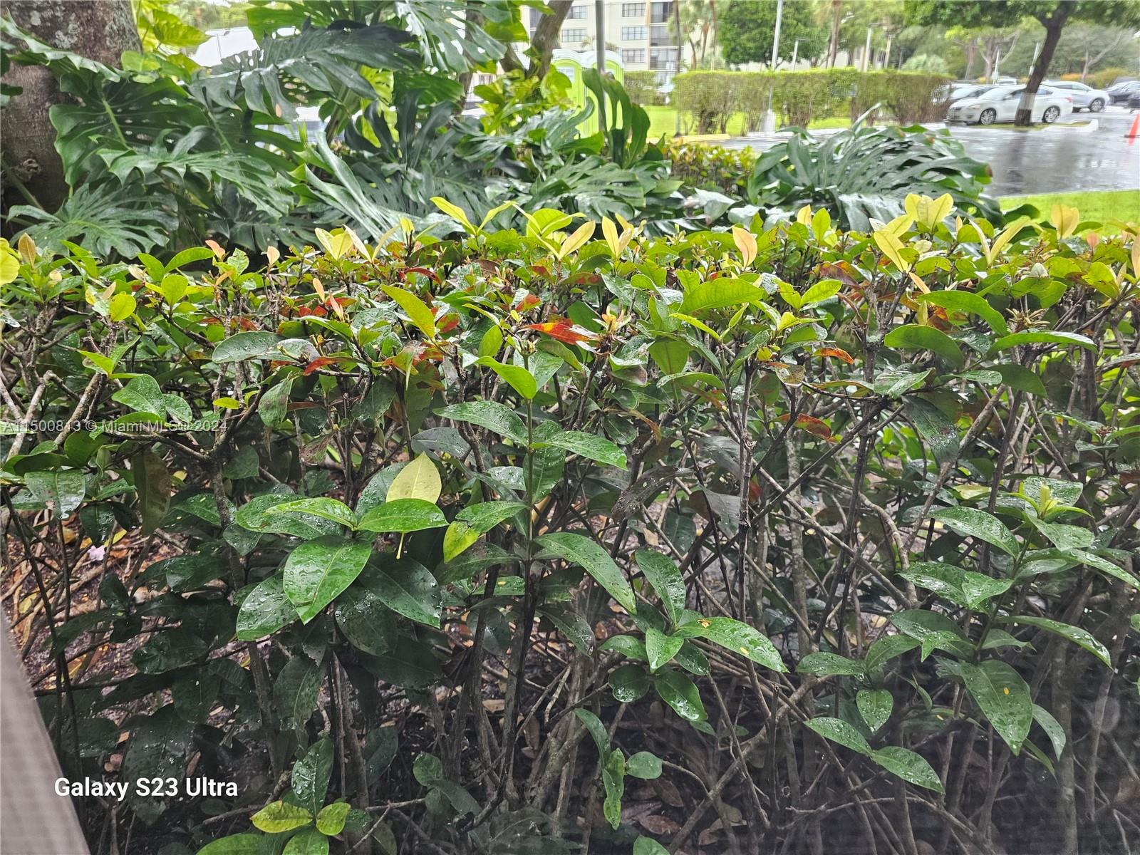 BISCAYA III CONDO - Residential