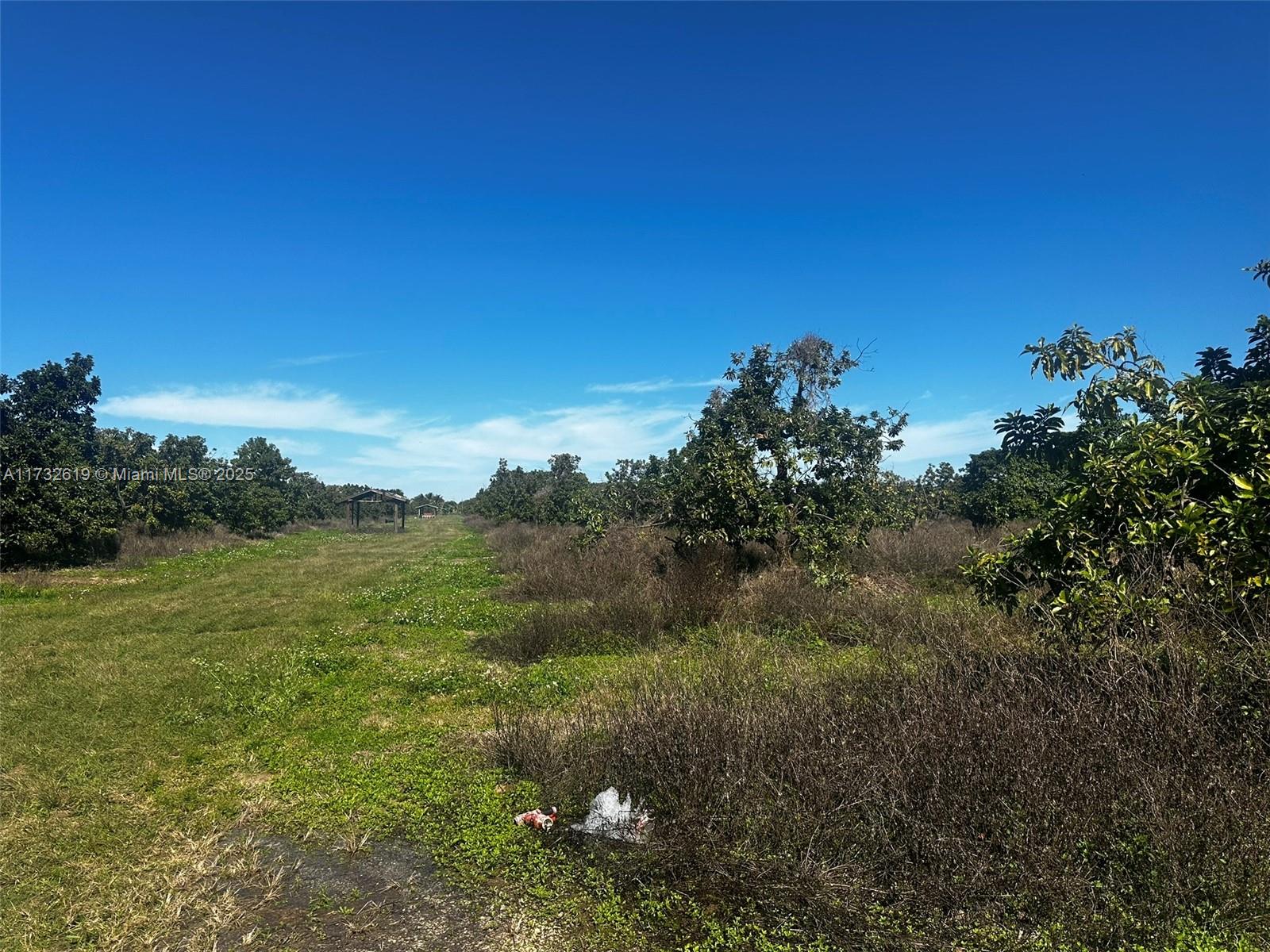 30 Acre professionally planted and maintained avocado grove. 
Located at 202XX SW 228 St. (Folios: 30-6815-000-0160 AND 0170) 
Prime Redland, excellent location, access to major transportation arteries. 
Property includes on site sprinkler irrigation, 4 wells, 1 Detroit diesel pump.
Property is fully fenced and gated.
4510 multiple variety Avocado Trees.  329 Mango Trees.
Permitted uses are as allowed by Miami Dade County Agric Zoning.