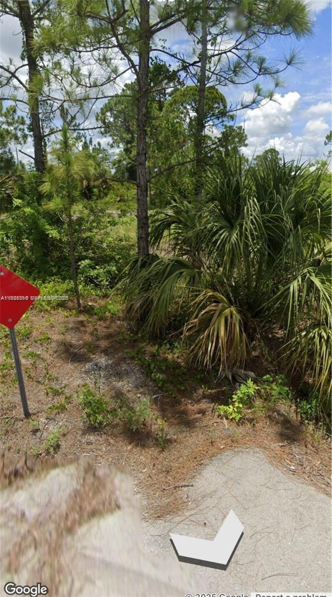 LEHIGH ACRES - Land