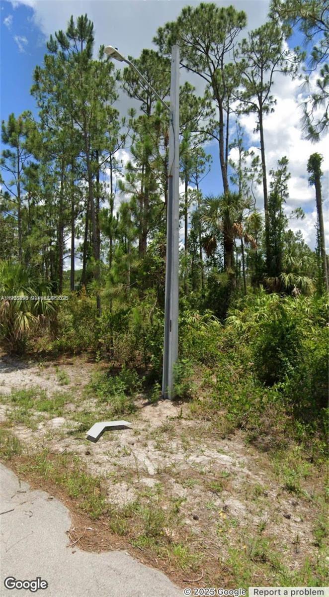 LEHIGH ACRES - Land
