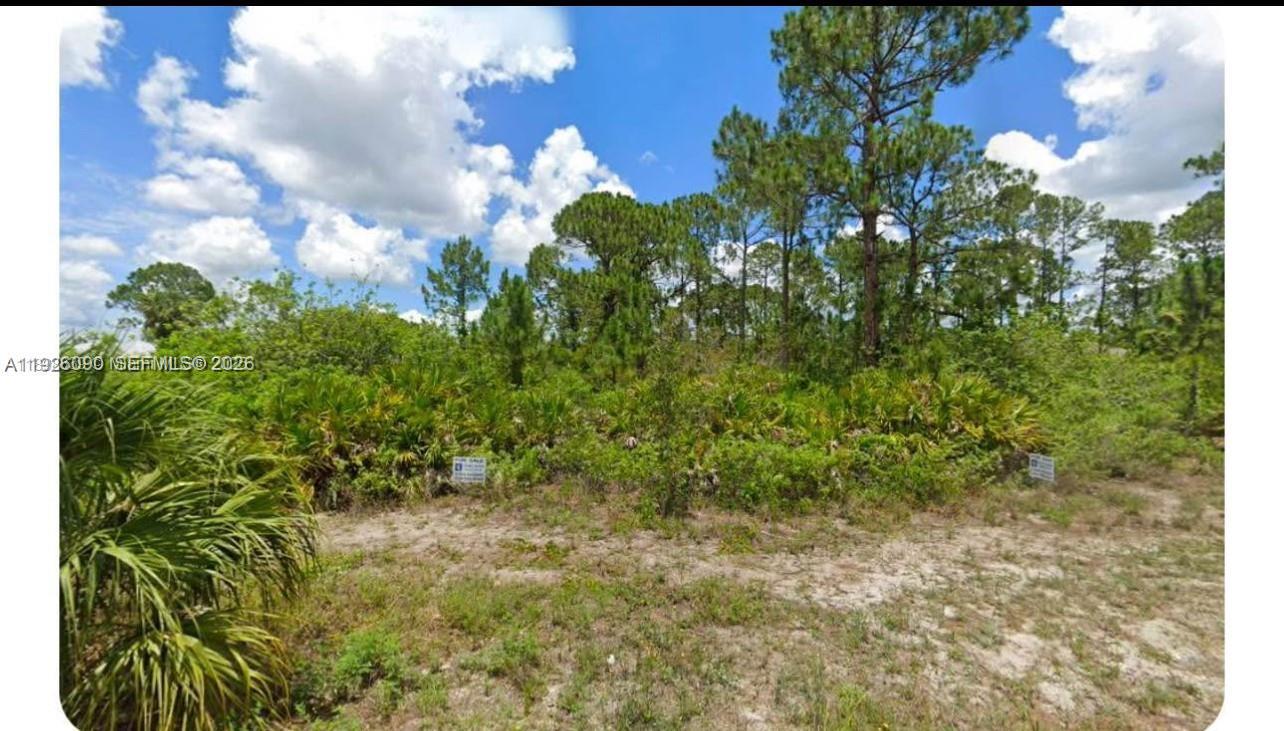 LEHIGH ACRES - Land