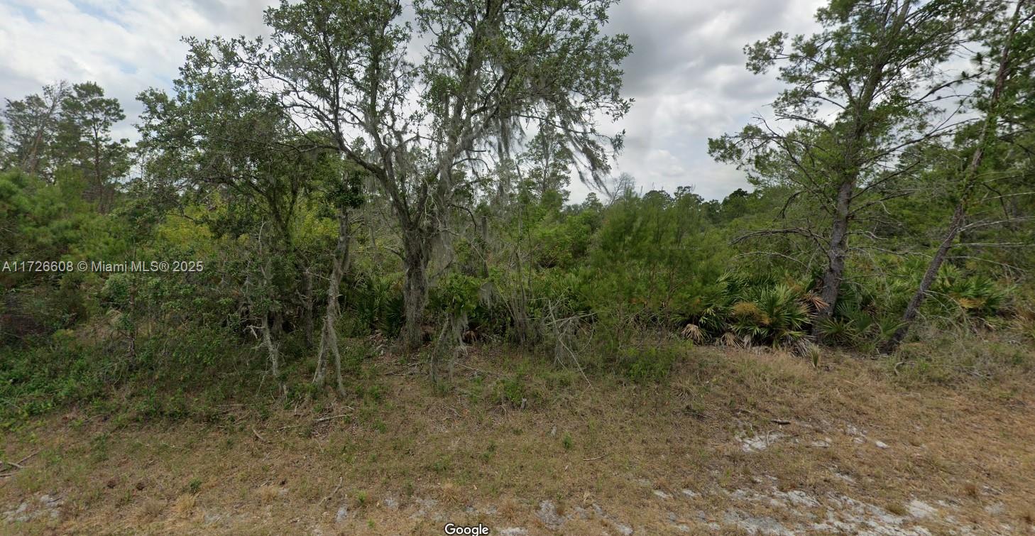 OWNER FINANCING AVAILABLE! Perfect opportunity to build your dream home in the Sun N' Lakes community, ideal for raising a family or retiring. This pond-front lot offers privacy with no homes behind you! Sun N' Lakes features 2 championship 18-hole golf courses, a restaurant, clubhouse, gym, playground, community pool, splash pad, fitness center, pickleball, and tennis courts. Conveniently located in Sebring, just 1.5 hours from Disney, Tampa, and Anna Maria Island beaches, and close to Advent Health and Sun N Lake Elementary. This large double lot can be divided into two homesites. Act fast—lots are selling quickly! OWNER FINANCING: $3K down, $396.02/month for 60 months at 7% interest.