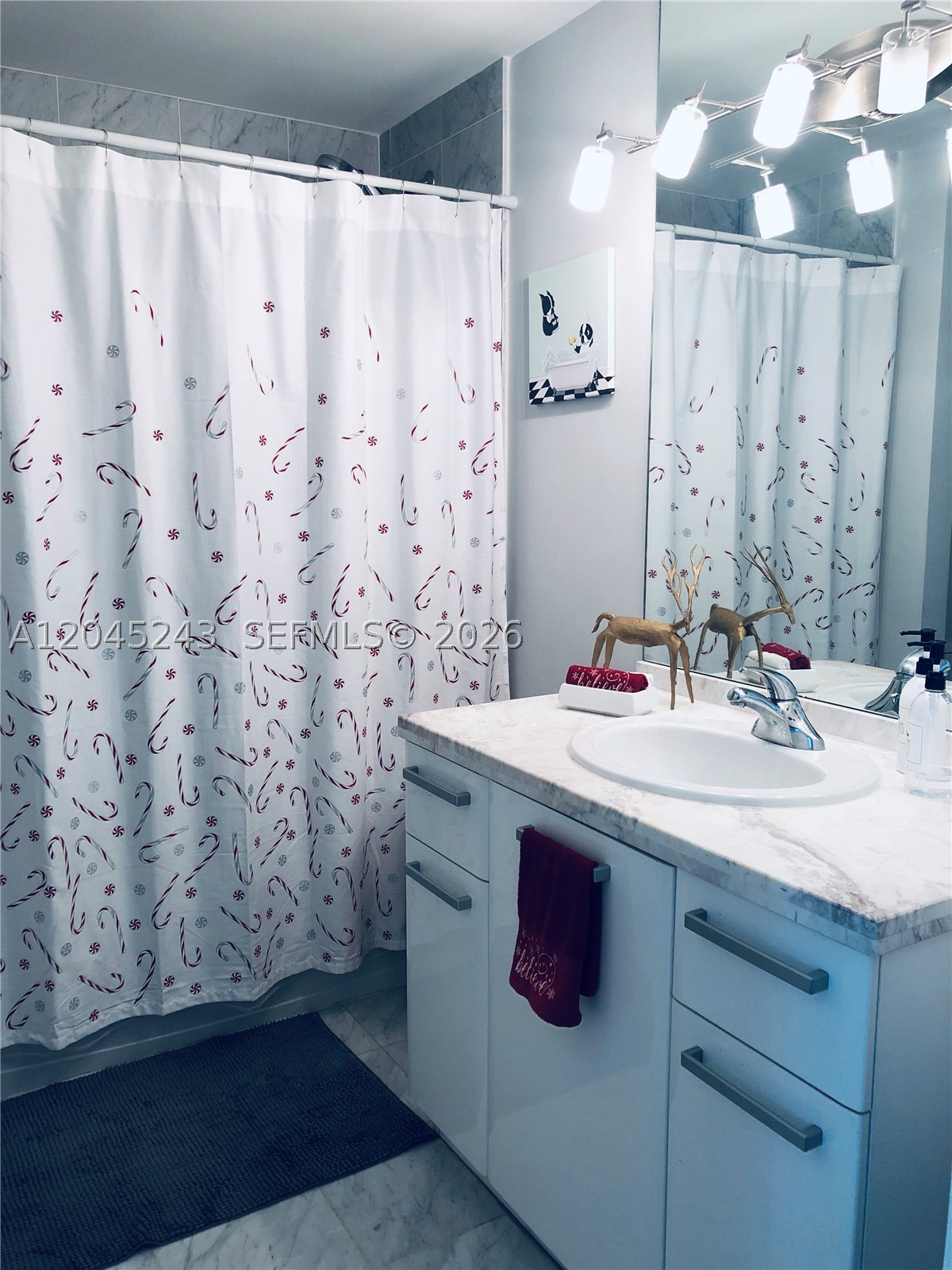 VIZCAYNE SOUTH CONDO - Residential Lease