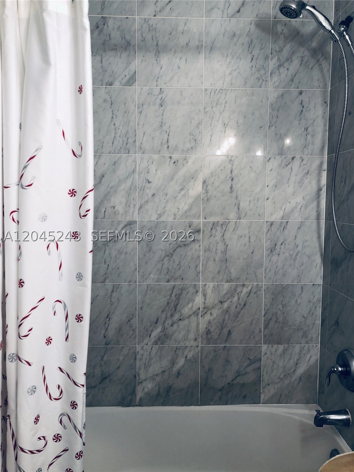 VIZCAYNE SOUTH CONDO - Residential Lease