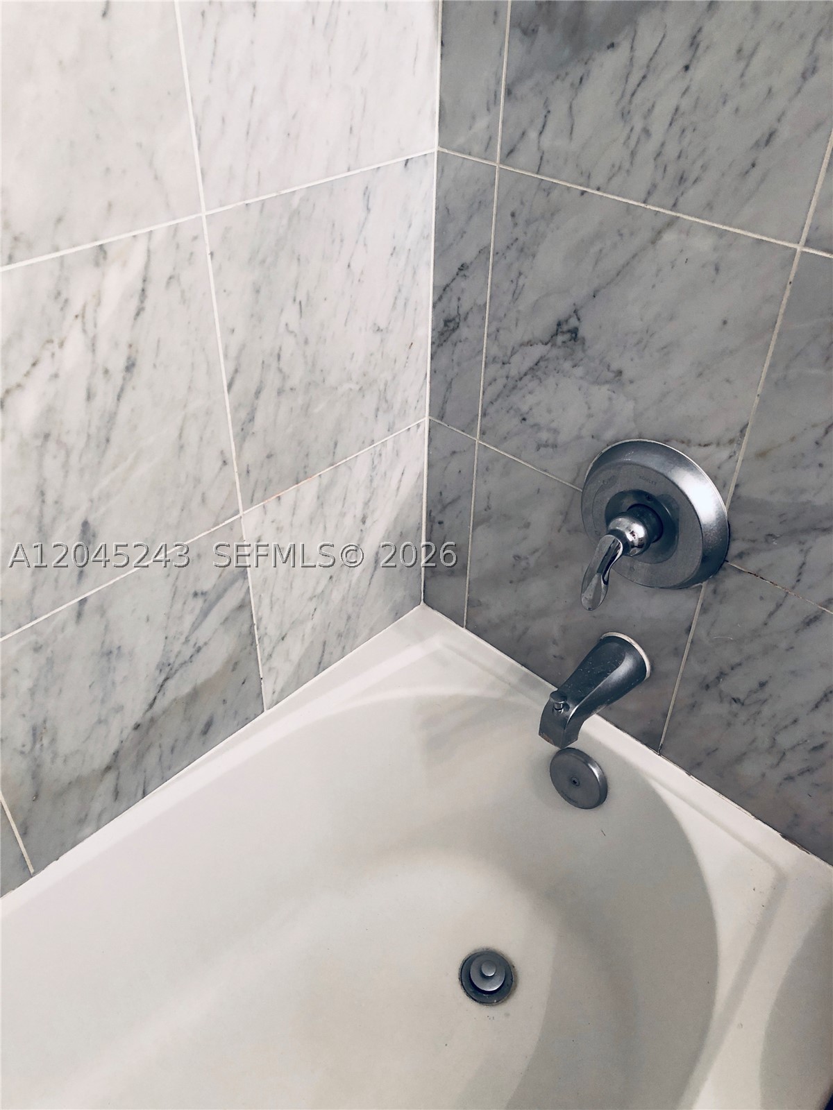 VIZCAYNE SOUTH CONDO - Residential Lease