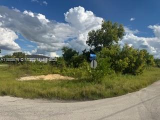 Great buildable corner lot, with southern exposure in an AMAZING location! This oversized corner parcel is located just east of Gunnery Rd. and
south of Lee Blvd this location will provide very convenient access to main roads. Interstate 75 and the SW Florida International airport are just a
short ride as well as FGCU & Gulf Coast Town Center. NOT IN A FLOOD ZONE. Buy now and build your new dream home or future investment
property!