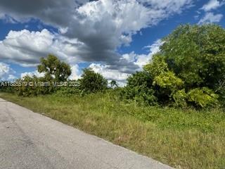 LEHIGH ACRES - Land