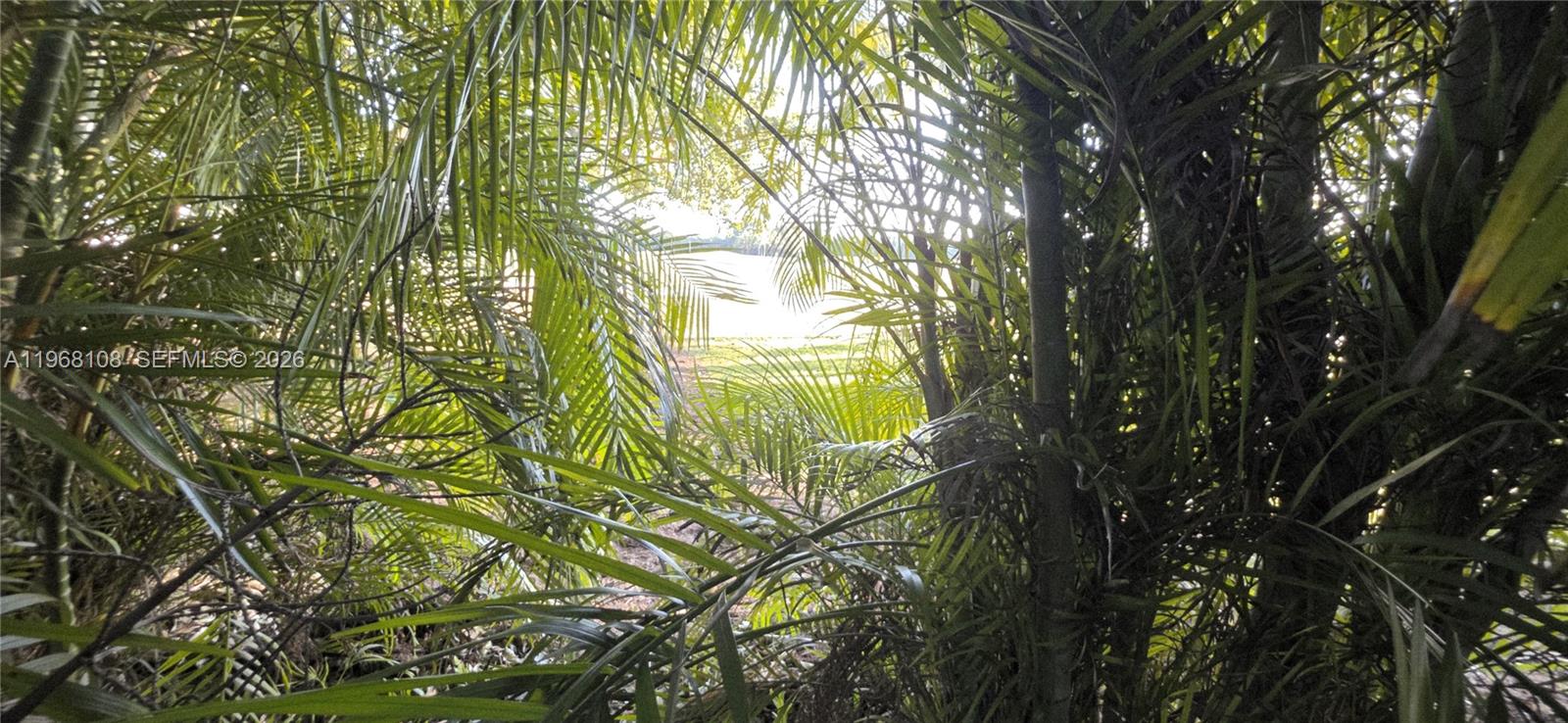 PATIO HOMES OF DORAL PINE - Residential