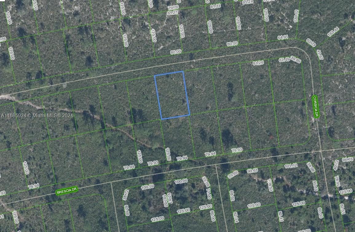 OWNER WILL FINANCE!!! Sun N Lakes development is building 100 acre water and sewage facility 1 block away! They are planning on building infrastructure on the properties that are closest to the facility first. There is power 2 lots away. Sun N Lakes community, a perfect place to build your dream home in which to raise your kids or retire. The Sun N Lakes community offers 2 18-Hole championship golf courses, restaurant, clubhouse, gym, playground, community pool, splash pad, community center, fitness center, pickle ball, and tennis. Sebring is centrally located 1.5 hours from Disney, 1.5 hours from Tampa and 1.45 hours from Ana Maria Island Beaches. Located close to Advent health and Sun N Lake Elementary. OWNER WILL FINANCE!!! 2K DOWN 429.19 A MONTH FOR 36 MONTHS AT 7% INTREST.