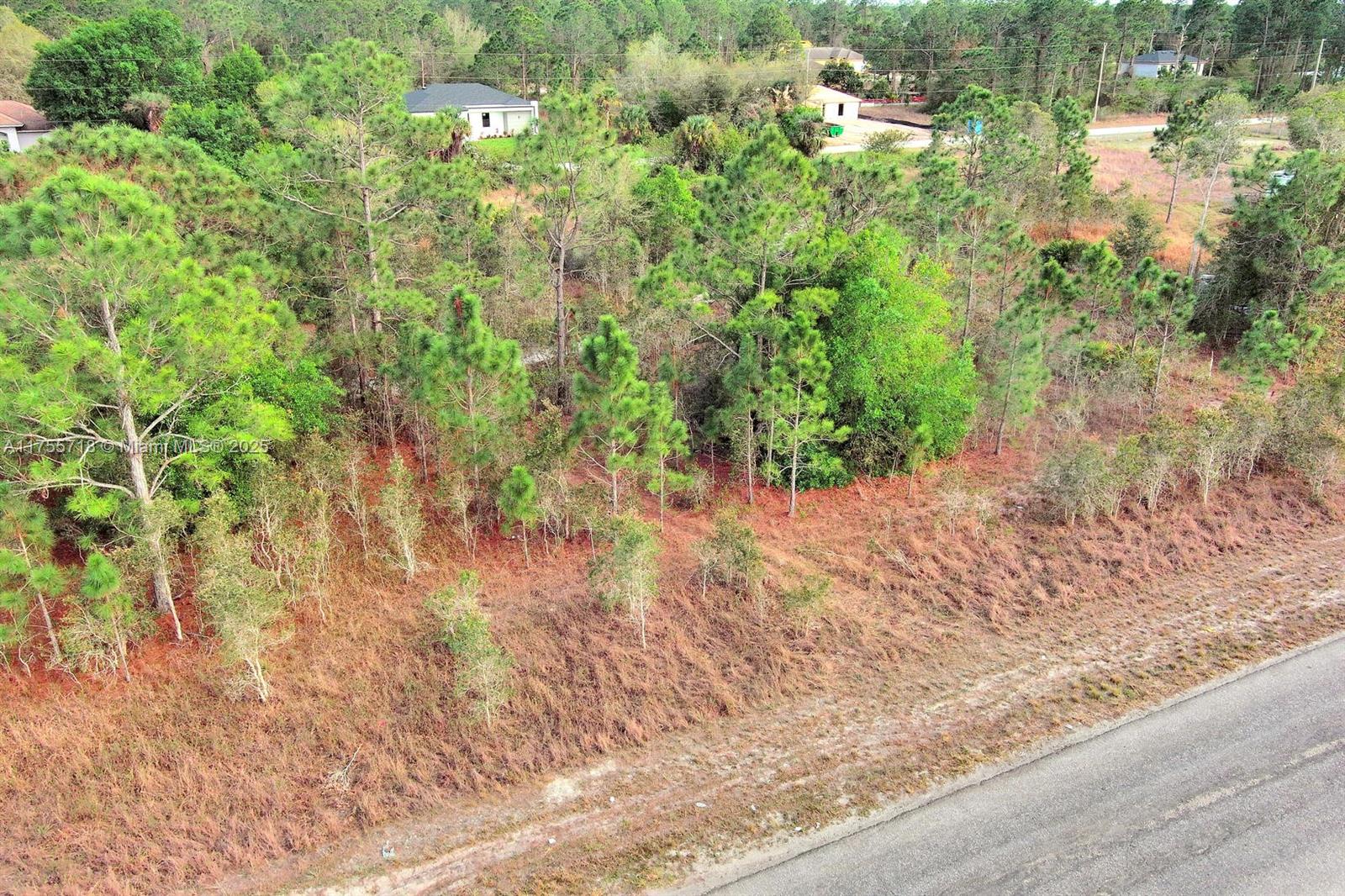 LEHIGH ACRES - Land