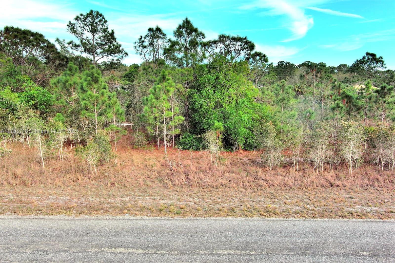 LEHIGH ACRES - Land