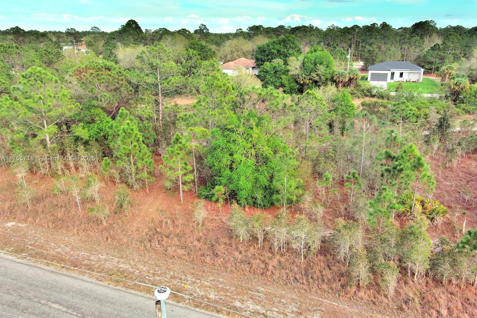 LEHIGH ACRES - Land