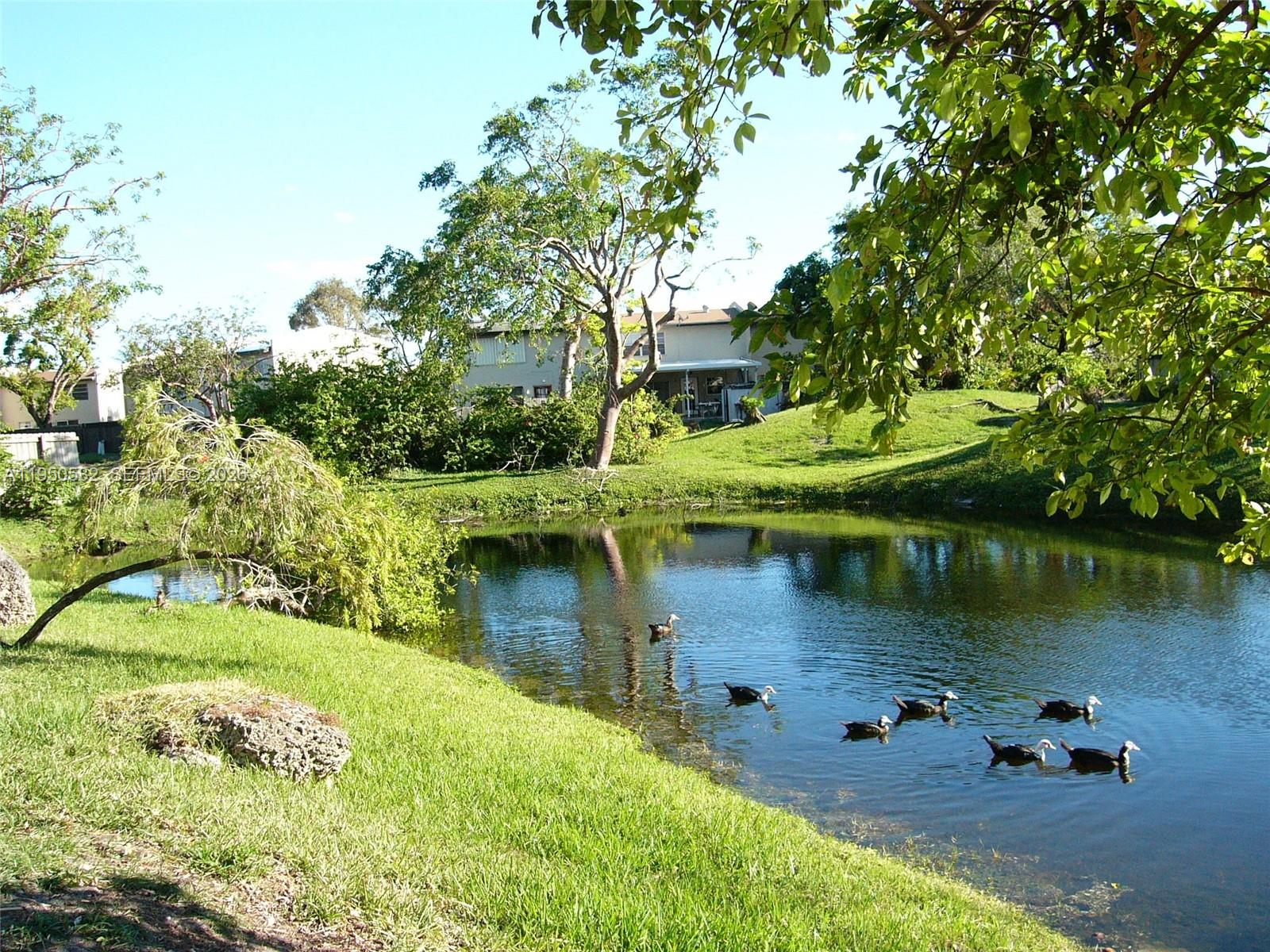 SNAPPER VILLAGE - Residential