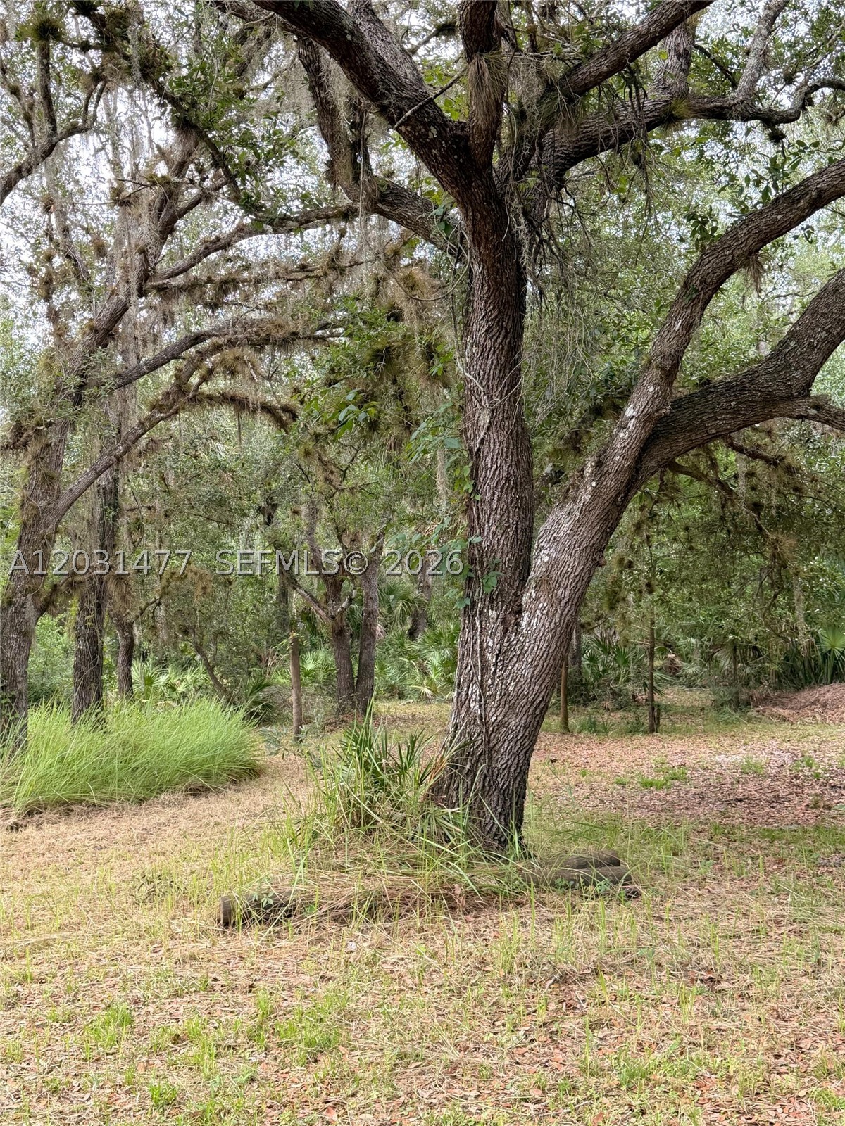 HIDDEN ACRES - Land