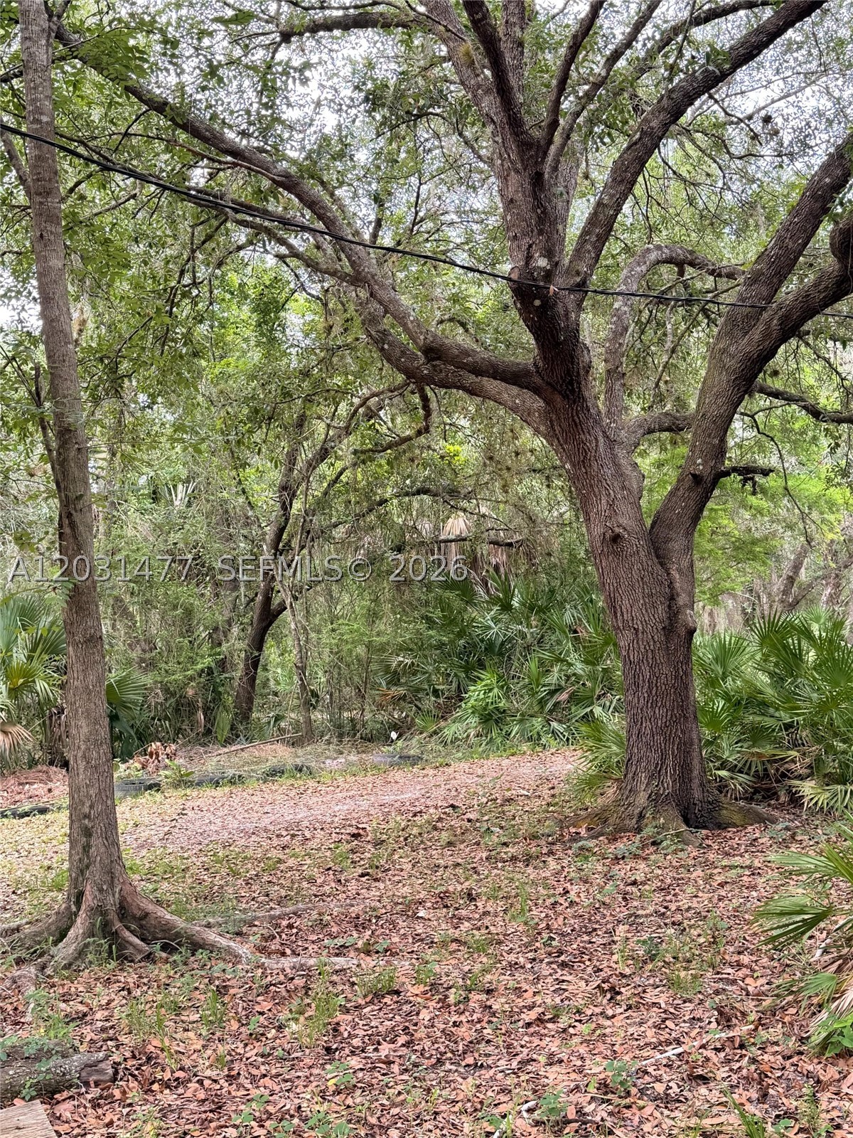 HIDDEN ACRES - Land