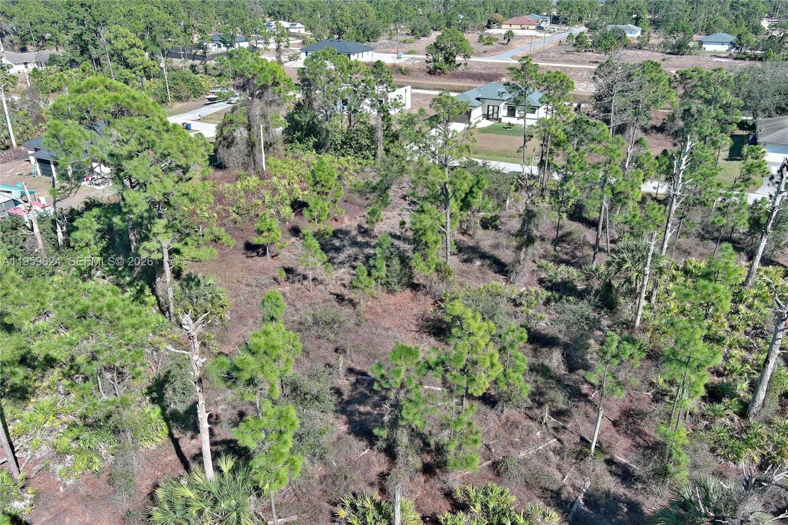 LEHIGH ACRES - Land