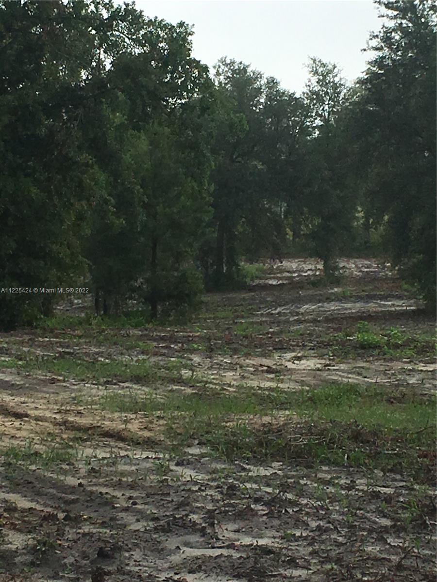 NON-AG ACREAGE - Land
