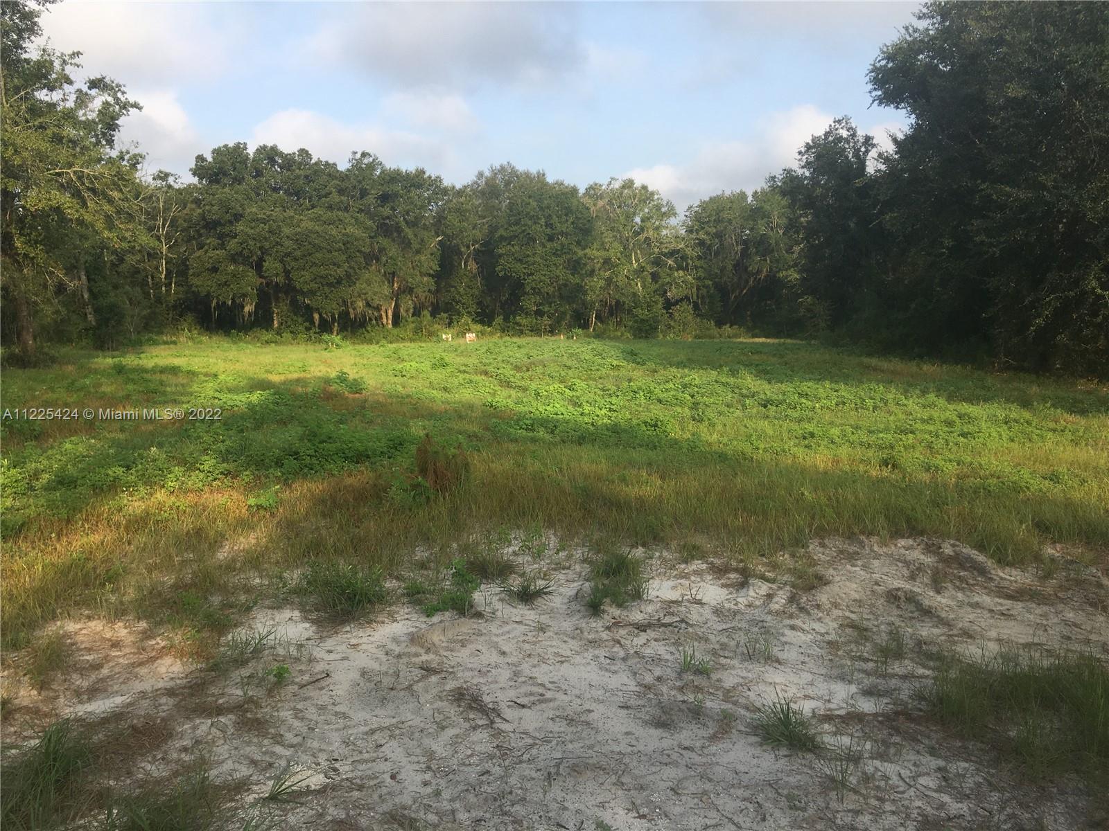 Prime location for you to build your home on 20 acres located less than a mile from paved County Road 132. The fence line has been cleared in the front and posts are in place for fencing. Lush granddaddy oaks, a long driveway along the south property line, a well with a 1.5 horse pump has been installed along with electricity on property that needs to be hooked up and the area has been cleared and leveled with fill, ready for your future home! Manufactured homes are allowed. Conveniently located to Suwannee Music Park located approx 12 miles away, Walmart and interstate exit. Seller financing is available.