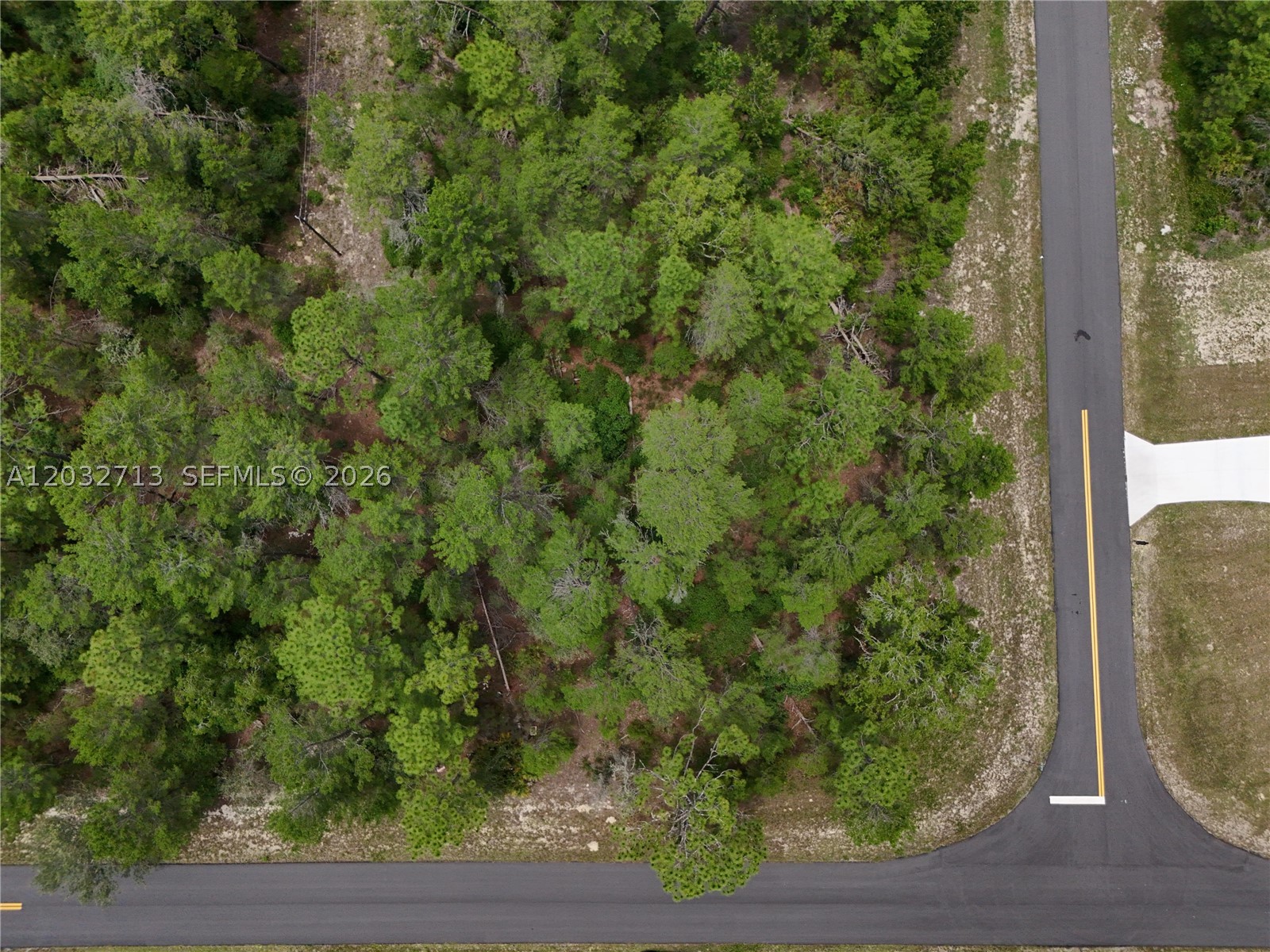 MARION OAKS - Land