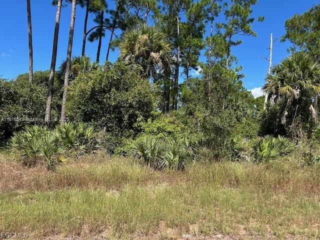 BANYAN VILLAGE - Land