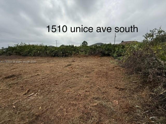 Lehigh Acres - Land