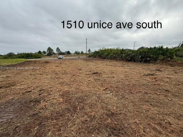 Lehigh Acres - Land