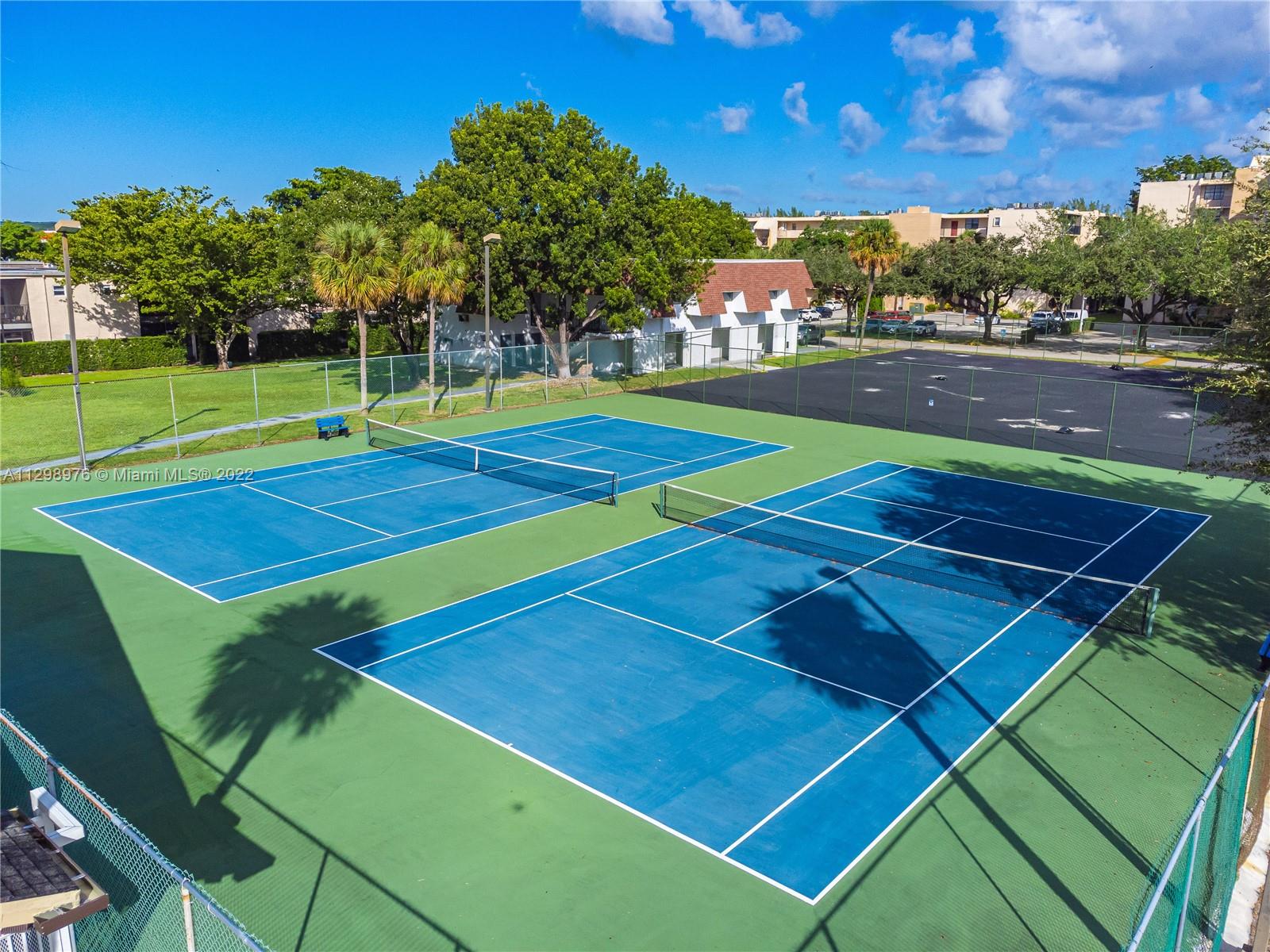 BLUE LAKE APTS CONDO - Residential Lease
