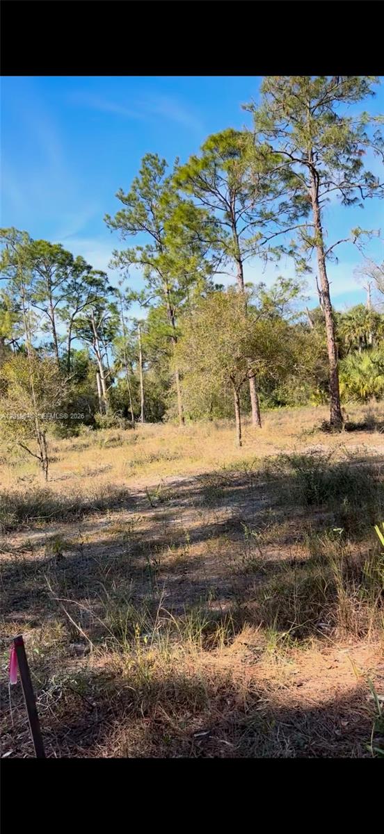 Lehigh Acres Unit 4 - Land