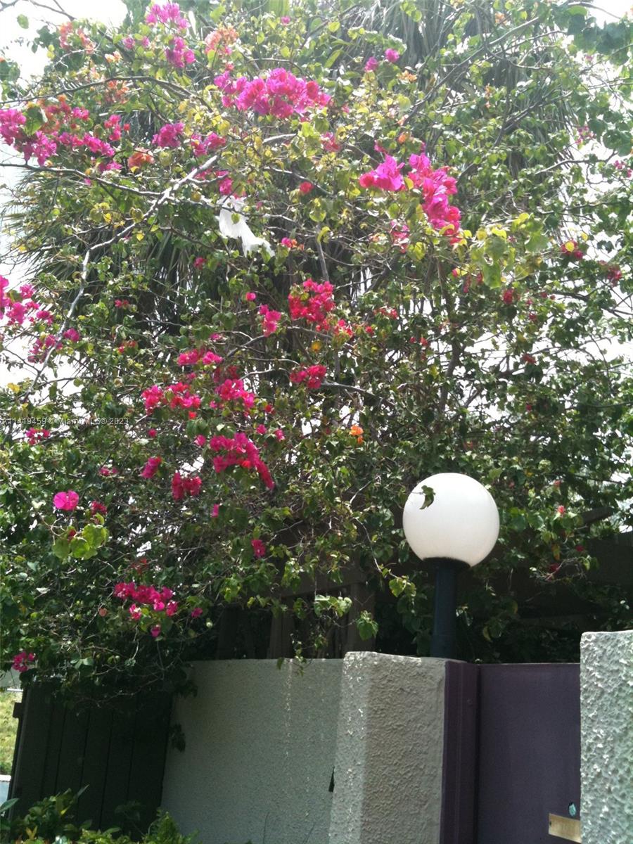 OASIS - Residential Lease