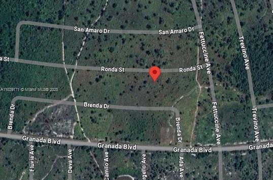 0.24 ACRES VACANT RESIDENTIAL LAND IN SEBRING, FL 33872. ALL INFORMATION FROM THE SELLER AND MUST BE VERIFIED BY THE BUYER!
