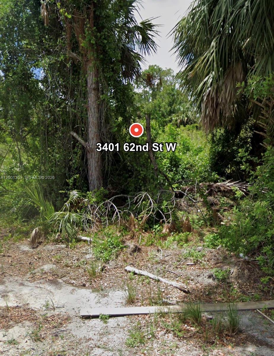 LEHIGH ACRES - Land