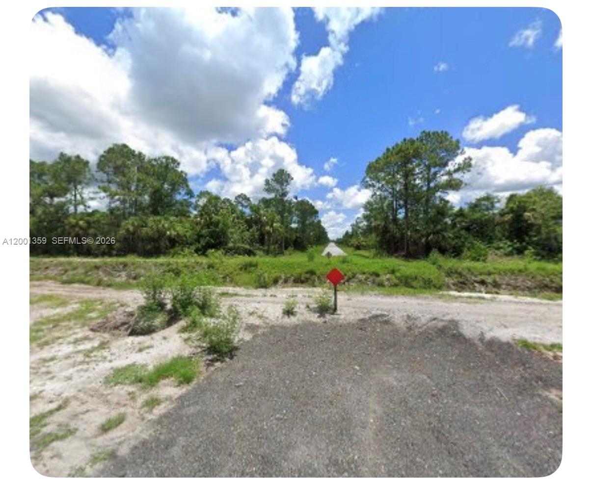 LEHIGH ACRES - Land