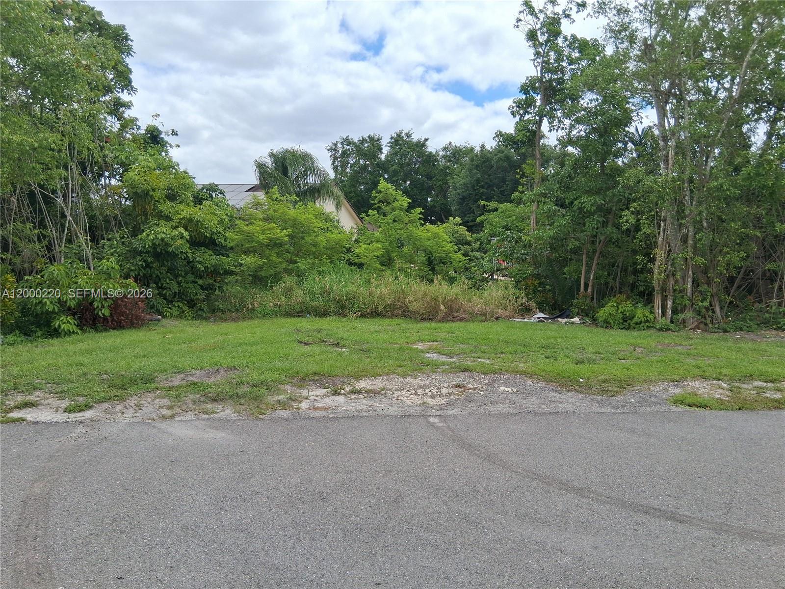 LEHIGH ACRES - Land