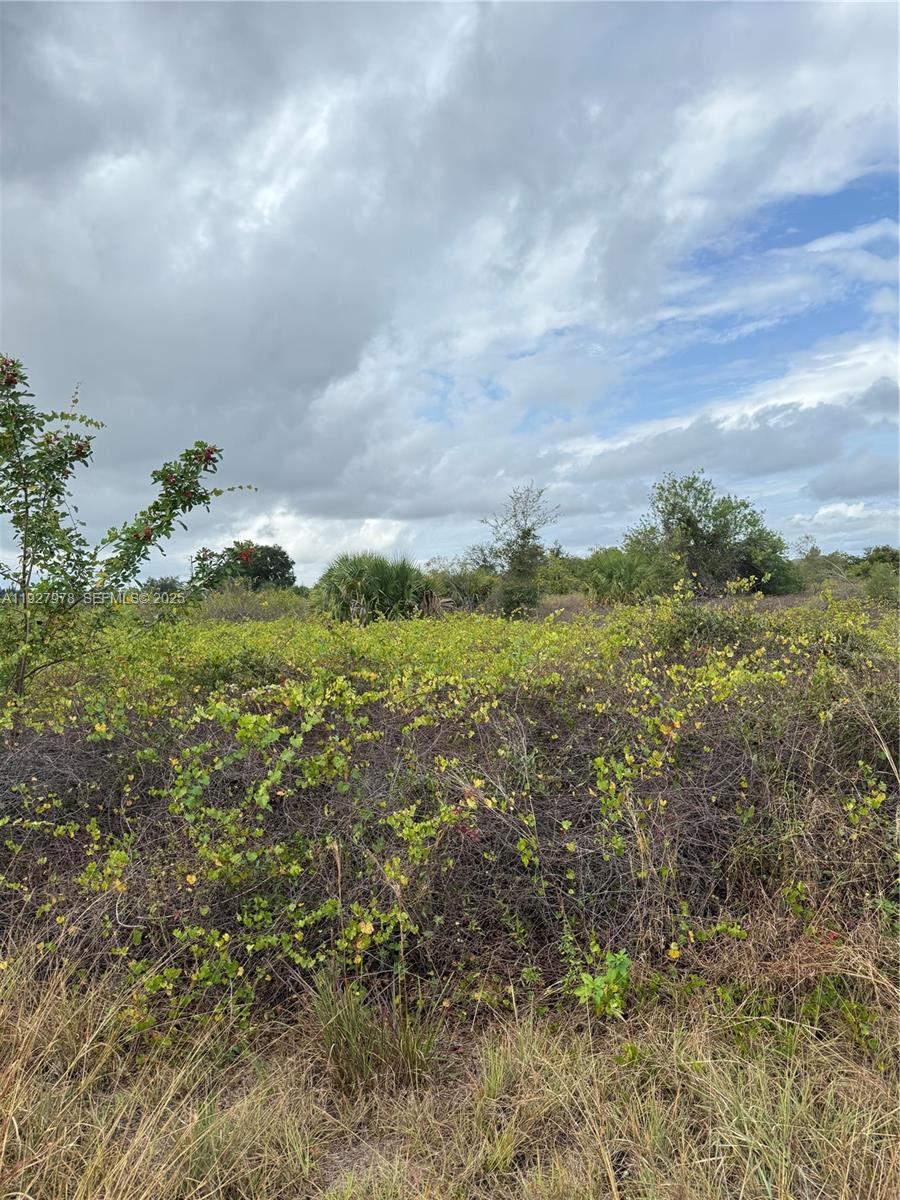 Lehigh Acres - Land