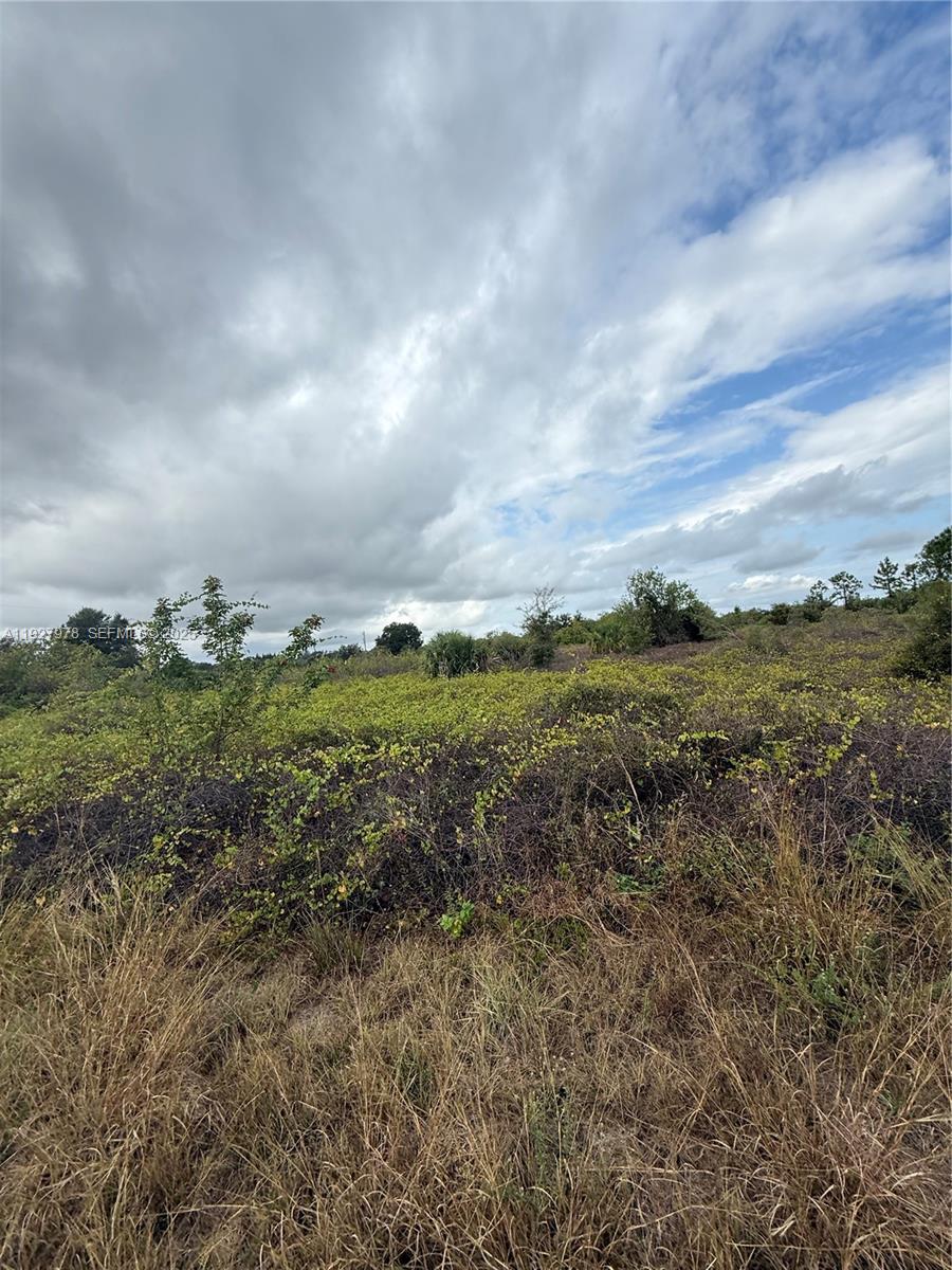 Lehigh Acres - Land