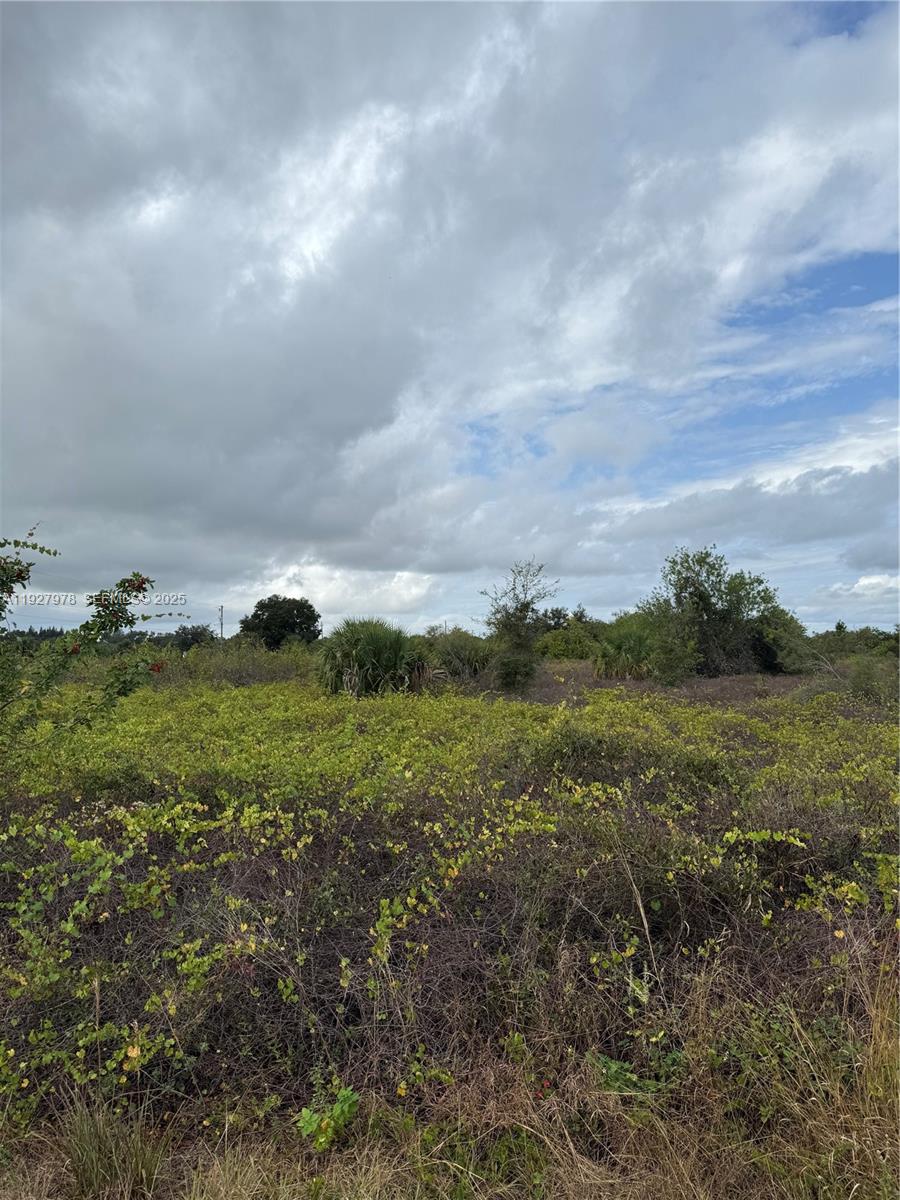 Lehigh Acres - Land