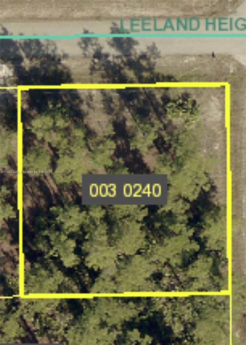 Don’t miss this affordable Lehigh Acres corner lot! Perfect spot to build your new home or hold as an investment. Located on a paved road close to schools, shops, and restaurants. Enjoy peaceful surroundings and growing development all around. No HOA and priced to sell!