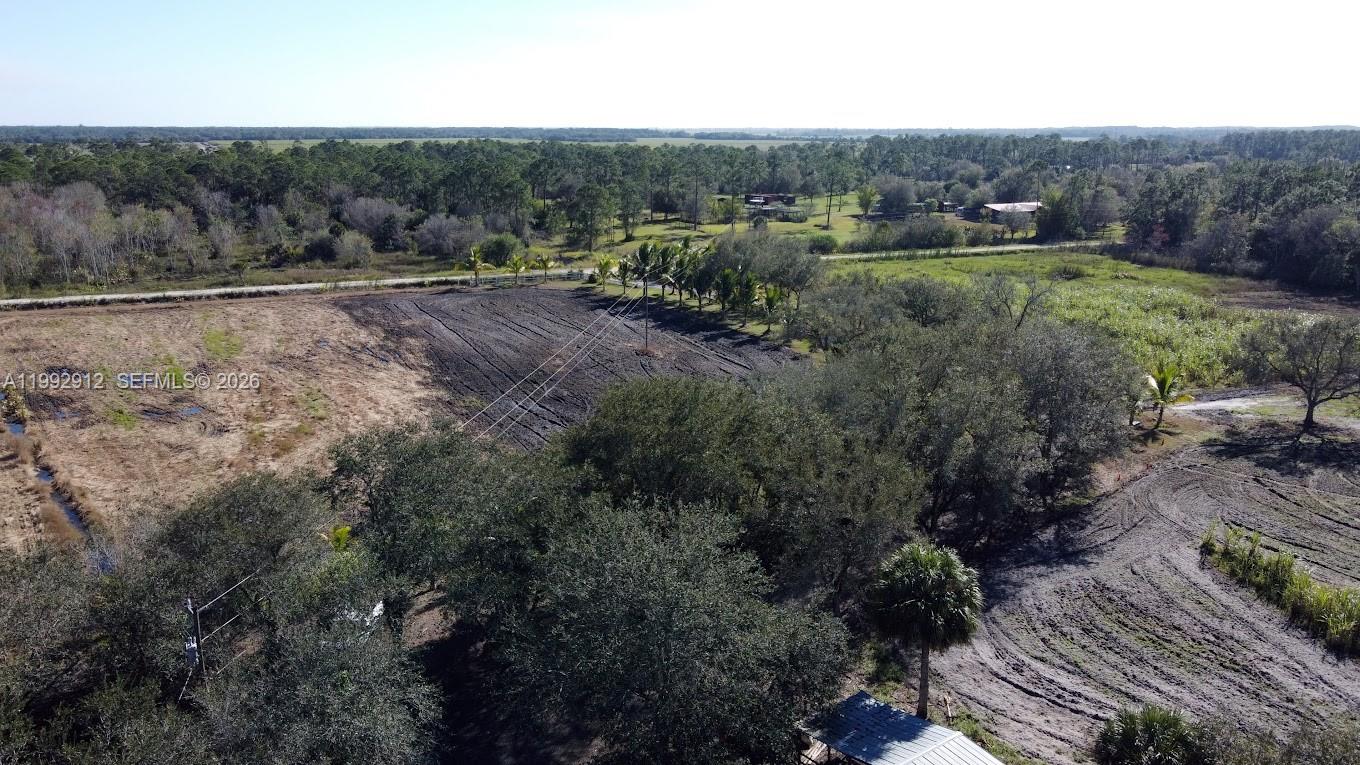 Pioneer Plantation - Land
