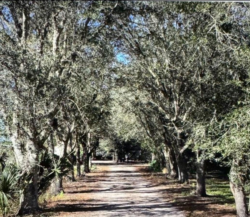 Pioneer Plantation - Land