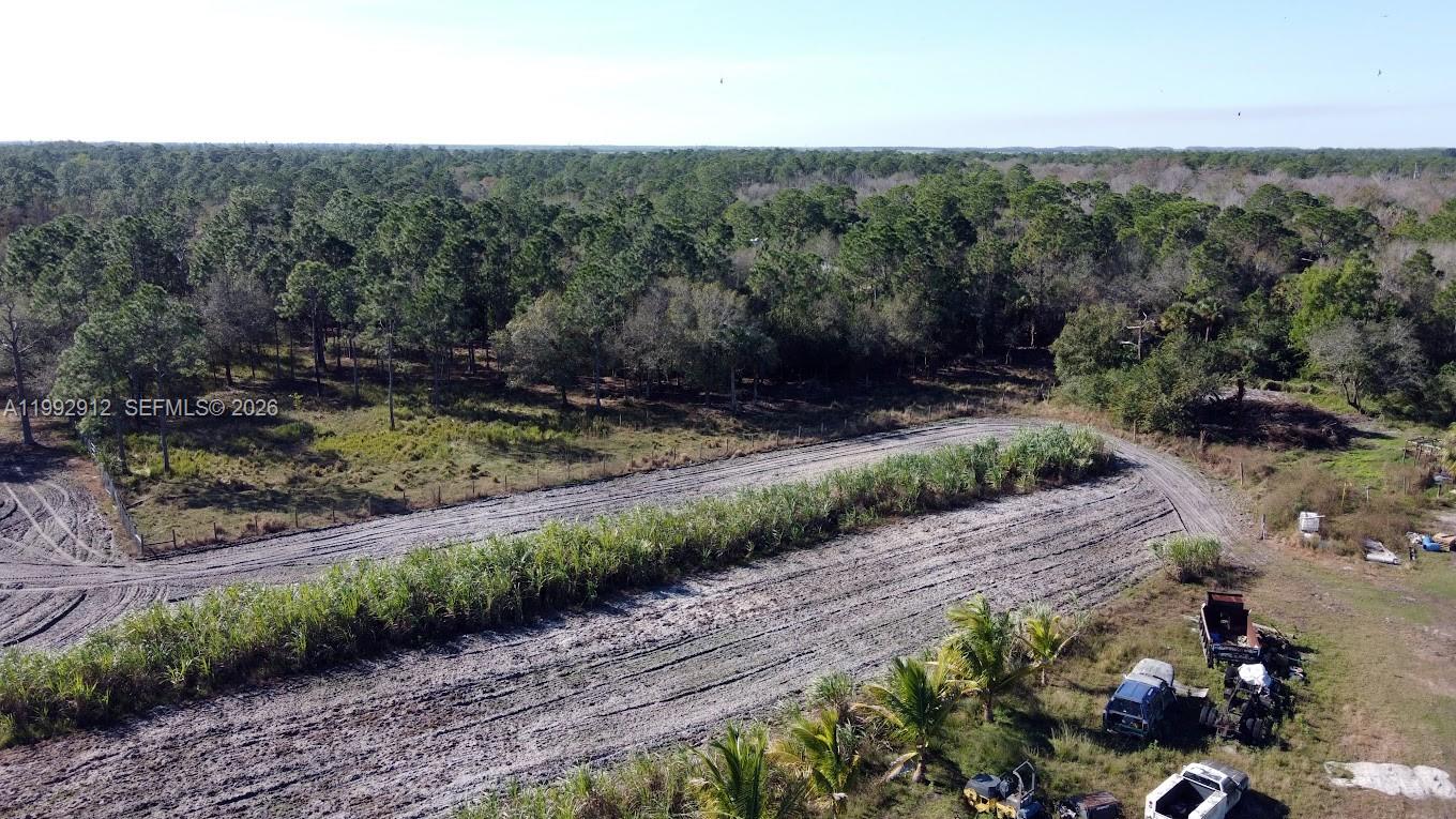 Pioneer Plantation - Land