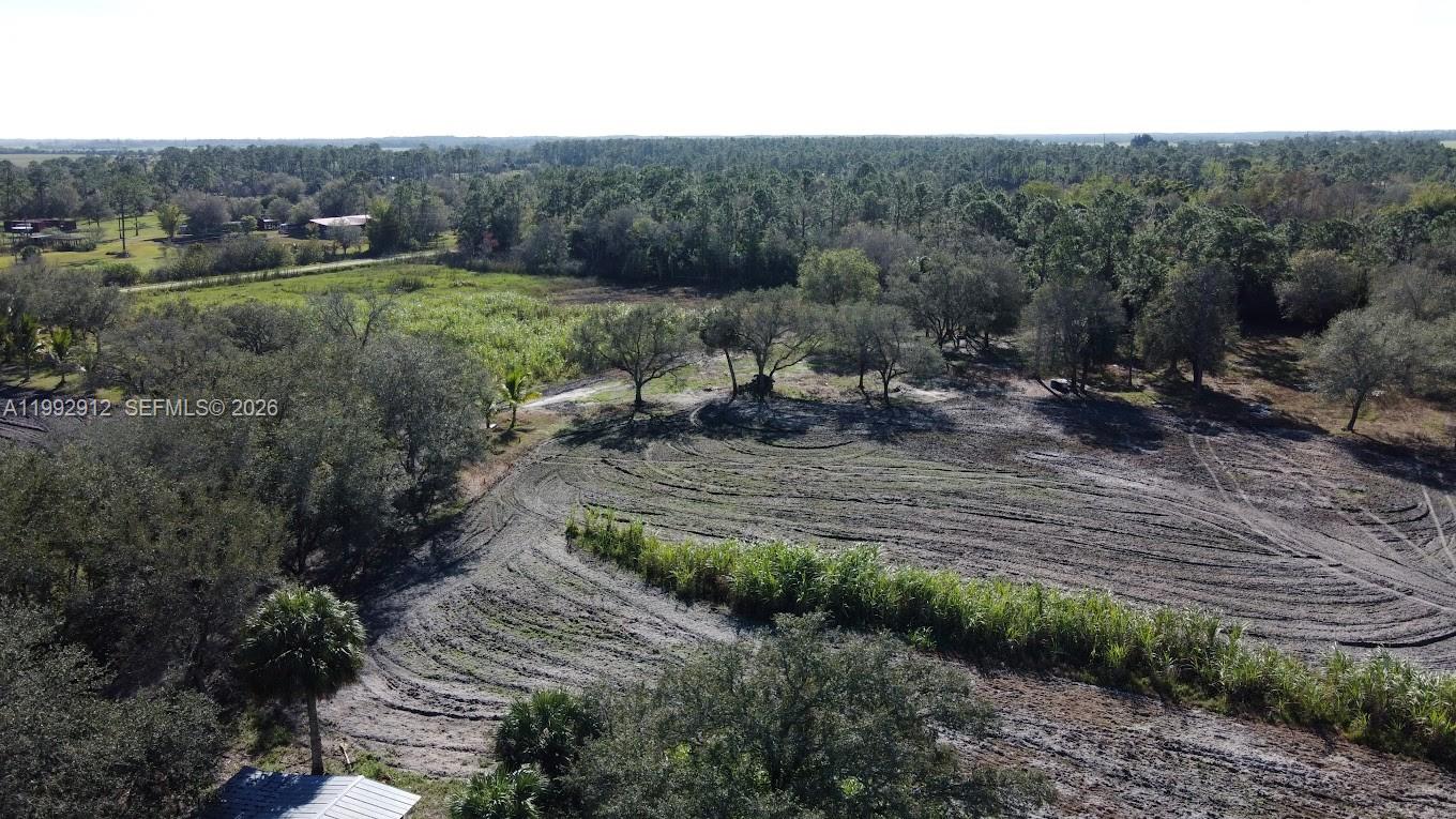 Pioneer Plantation - Land
