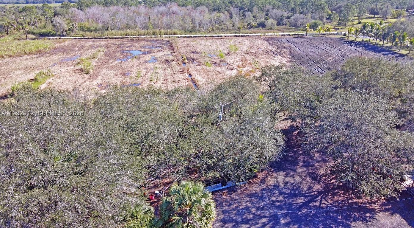 Pioneer Plantation - Land